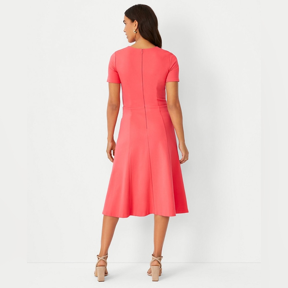 Petite Short Sleeve Flare Dress